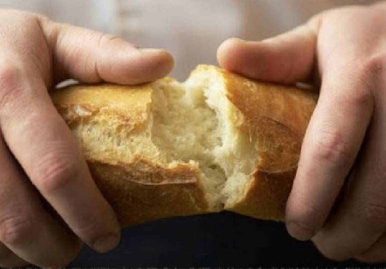 Proyecto nuevo